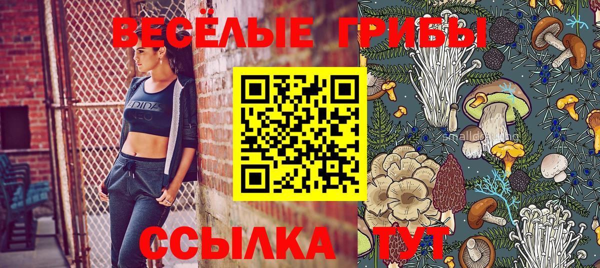 Галлюциногенные грибы прущие грибы  Псилоцибиновые грибы Magic Shrooms  Котлас  даркнет сайт  Вход с VPN 