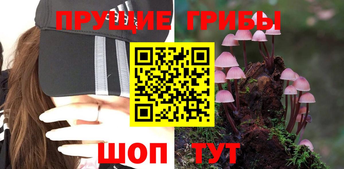 Псилоцибиновые грибы MAGIC MUSHROOMS Котлас
